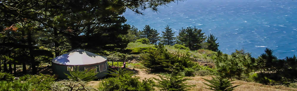 Image of a Yurt in Forest